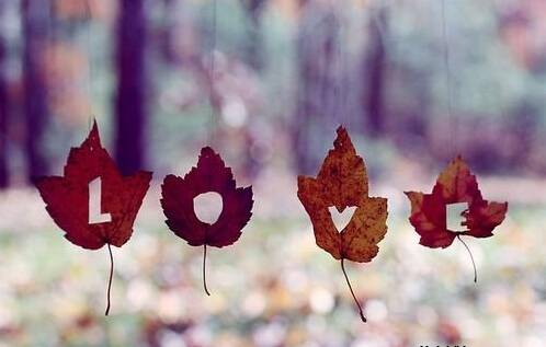 ���ɽ���δʹ���