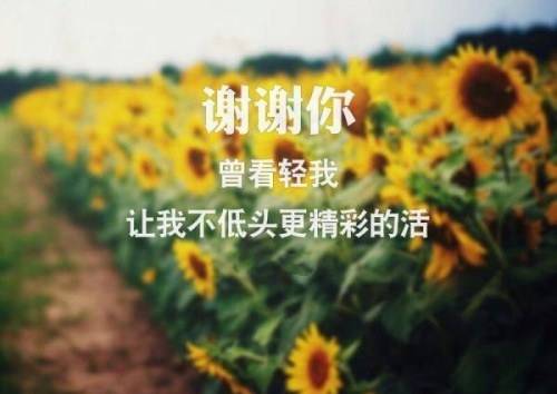 �������μгǵ��δ�