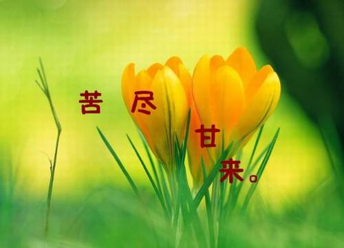 ͭ����ҩ��ɽ���δ�