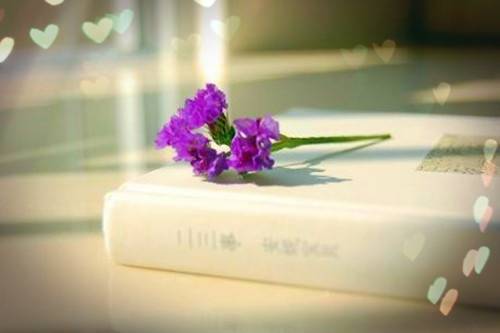 ��ʫӽ���һ��