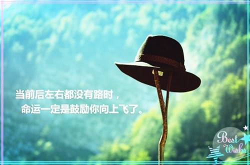 ��д���ﻨ��Ĺ�ʫ��