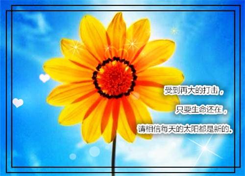 �²ݹ�ʫ�鷨��Ʒ����