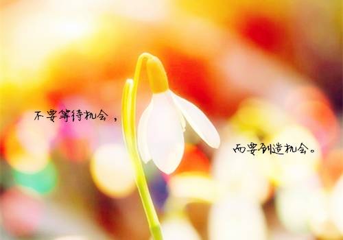 ��ʫͬ�ݶ����