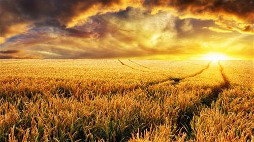 �׶�԰���ѧ��ʫ�ƻ�