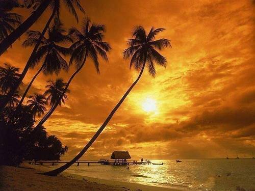 ŭ�ֽ�β�Ĺ�ʫ