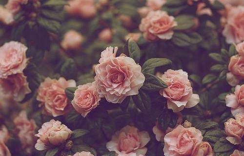 20���к������չ�ʫ