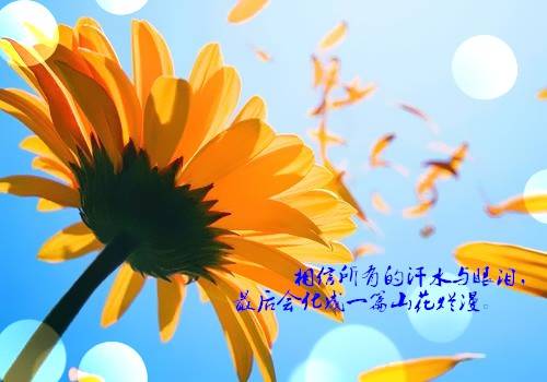 ��д���Ǹĵ��δ�