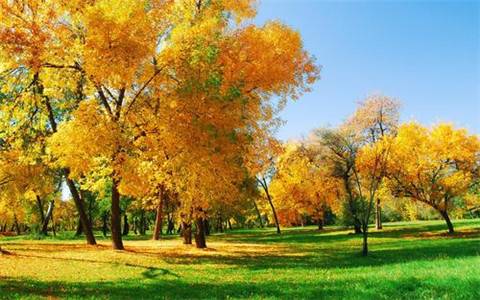 ӽ��ҹ�ʫ�ʶ�
