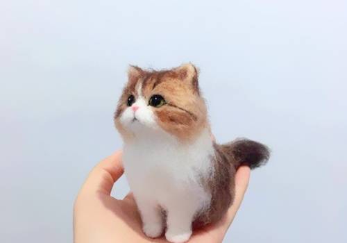 �����������ﵼ�δ�