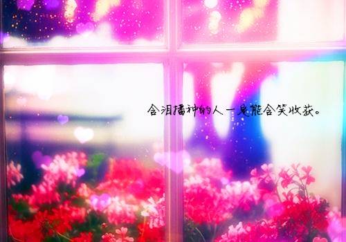 �����µ��δ��Ŀ�