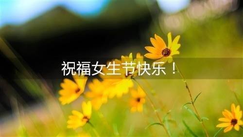 ��������ʾӵ��δ�