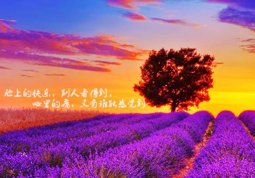 �Ľ�¥Ӣ�ĵ��δ�