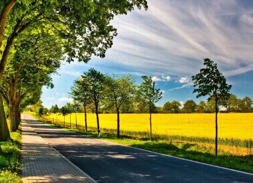 ���ڴ����ʫ��ʫ