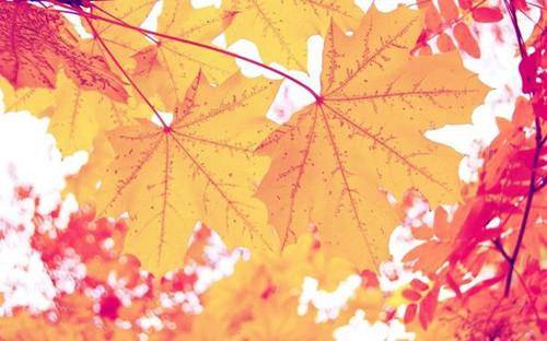 Ů�ӳ���ף����ʫ��