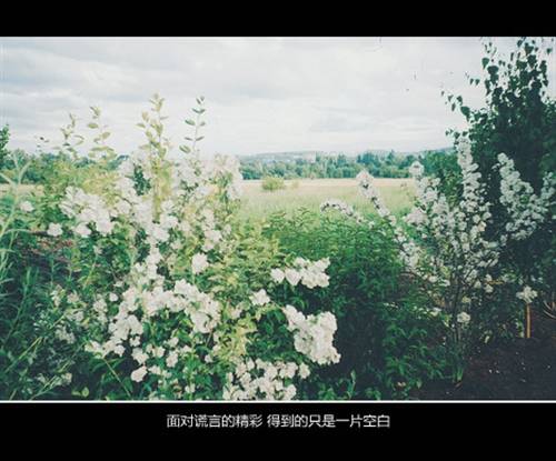 ���꼶5��ʫ����