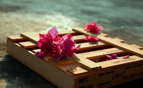 ���ݾ����󾫵Ĺ�ʫ