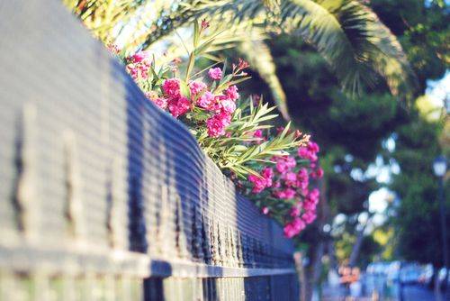��ɽ���ݵ��δ�