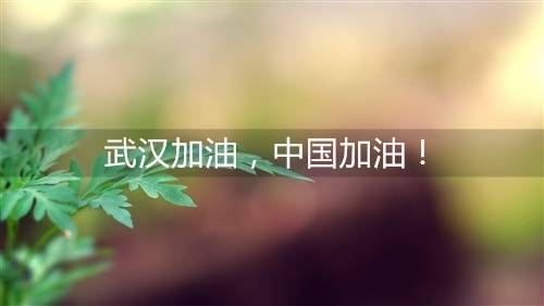������ʤ�ż����δ�