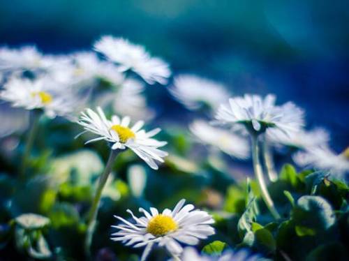 Խ��ɽ���δʸ��