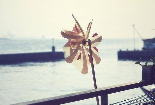 ���ɽ�����嵼�δ�