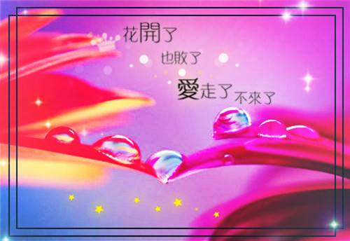 �������й滮���δ�