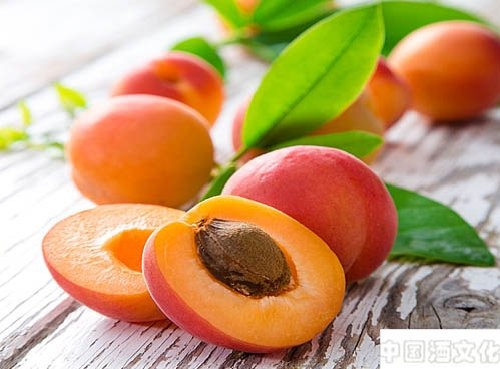 ��Ҳ����ƣ���ζ���Ӿ����췽��_��������