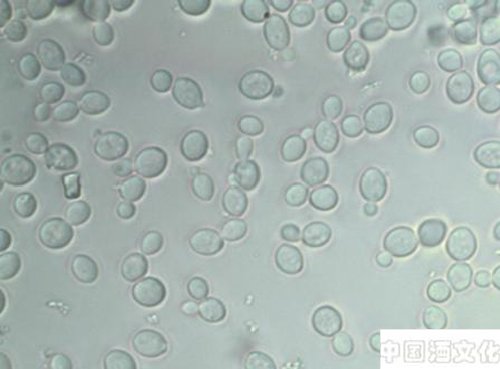 �׾�����֪ʶ֮��ĸ������_��������