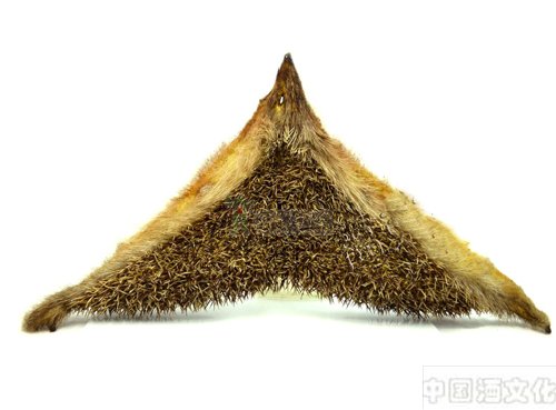 ����ֹ�ž�_��������