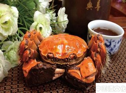 �Ƶ����ƴ�բз���ƾ����з����������_Ʒ������_