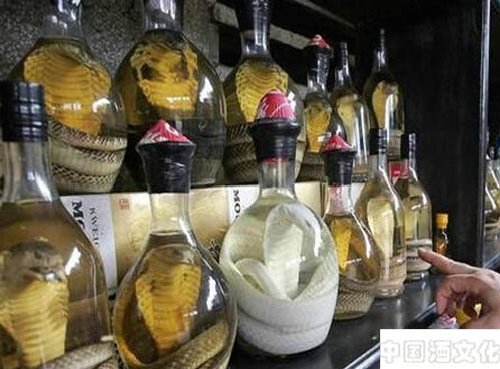������Ļ�֮�̵���Щ�쳣����ľ�_��ʷ�Ļ�_