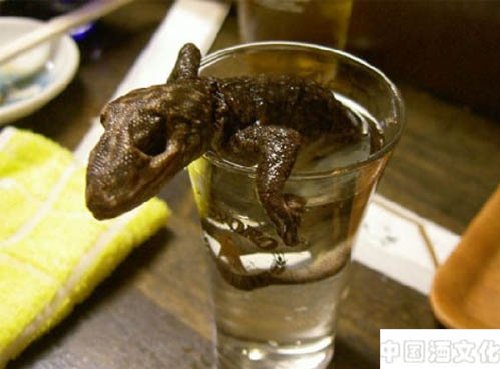 ������Ļ�֮�̵���Щ�쳣����ľ�_��ʷ�Ļ�_