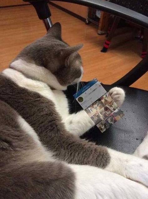 ������һ�����룺�ֻ�1���͸���ķ���