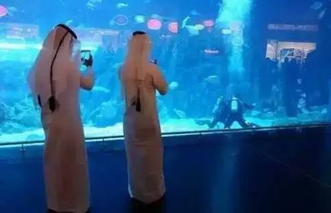 ��������Ȧװ�Ʊر�ͼ ���İ�