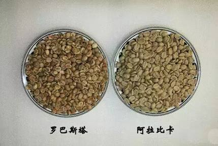����coffee�㲻���Բ�֪����6����