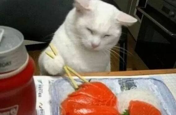 ������װ���ٳ�ָ��