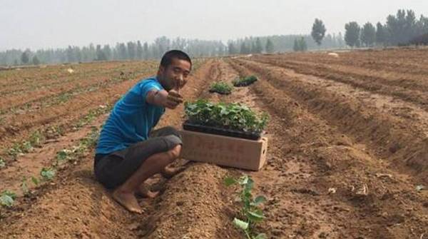 �ƹϲ������Եļ���Ҫ��_�߲���ֲ