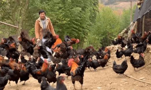 ������ֳ�ɱ������ļ�����_����