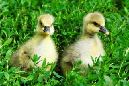�쵰�����������С��_����