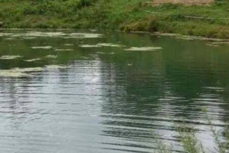 ����ˮ������ʲôԭ��������ˮ����Ĵ�ʩ����Щ_����