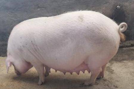 ����ð����ʳ��ô��_����