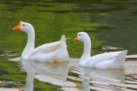 ��Ѽ��ôι�Ϻ�_��Ѽ