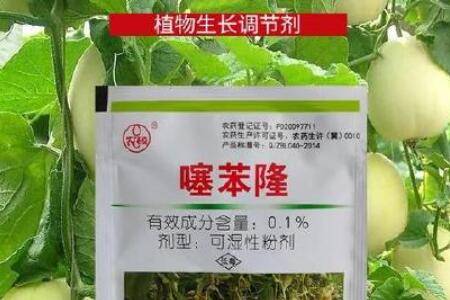 �籽¡��ô�ã����ҿ���ʱ�ÿ����Ӳ���_��ֲ�ʴ�