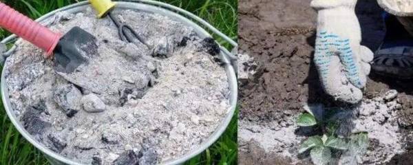 ����ǲ������Է���_ũҩ����