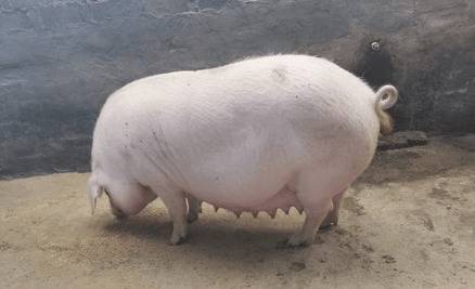 ĸ���鷿Ӳ��Ĵ�������_����