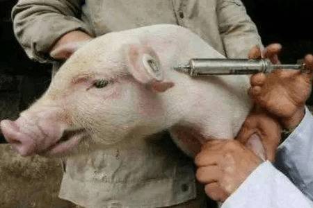 ����ʲôʱ����β���_����