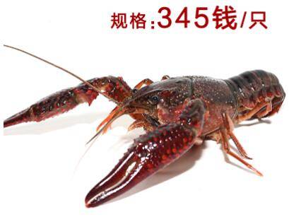 345ǮС��Ϻ�ж��_��Ϻ