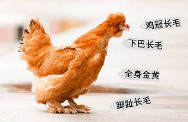 �����ͼ���飬�����Ӱ��ġ��л���͢�Ƽ���_����