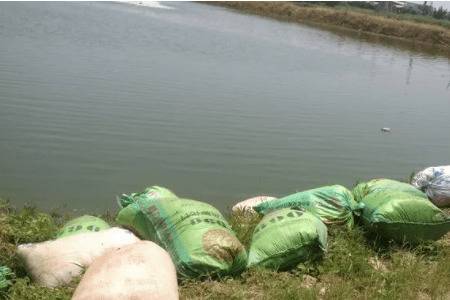 Ϻ����ˮʱһĶ���ö��ٸ��Ϸ�_��Ϻ