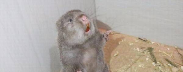 ����ˮ����ô�죿_��ֳ�ʴ�