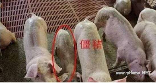 ���������ͣ������γɵ�ԭ��_����
